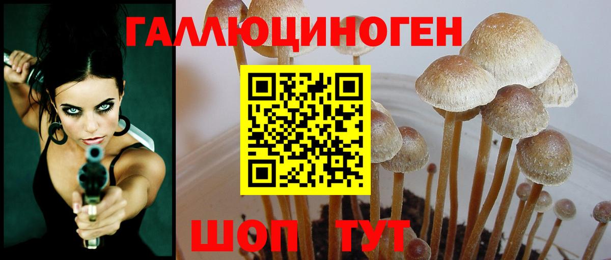 Псилоцибиновые грибы Cubensis  Вход с VPN  Псилоцибиновые грибы MAGIC MUSHROOMS  Алатырь 